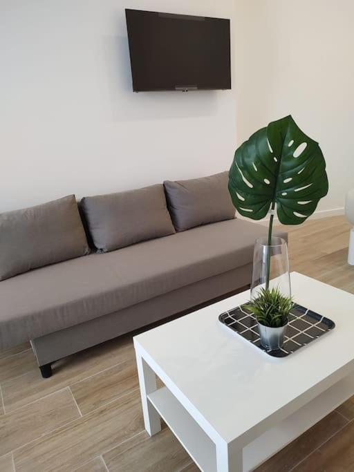 Nuevo Loft En Playa Y Cerca Del Centro, Ac Y Wifi Appartement